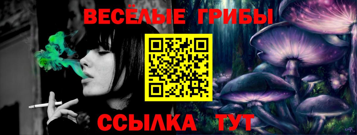 Галлюциногенные грибы мицелий Артём